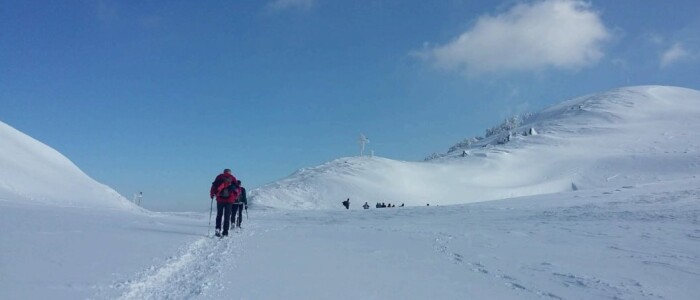 IMG-20250209-WA0000