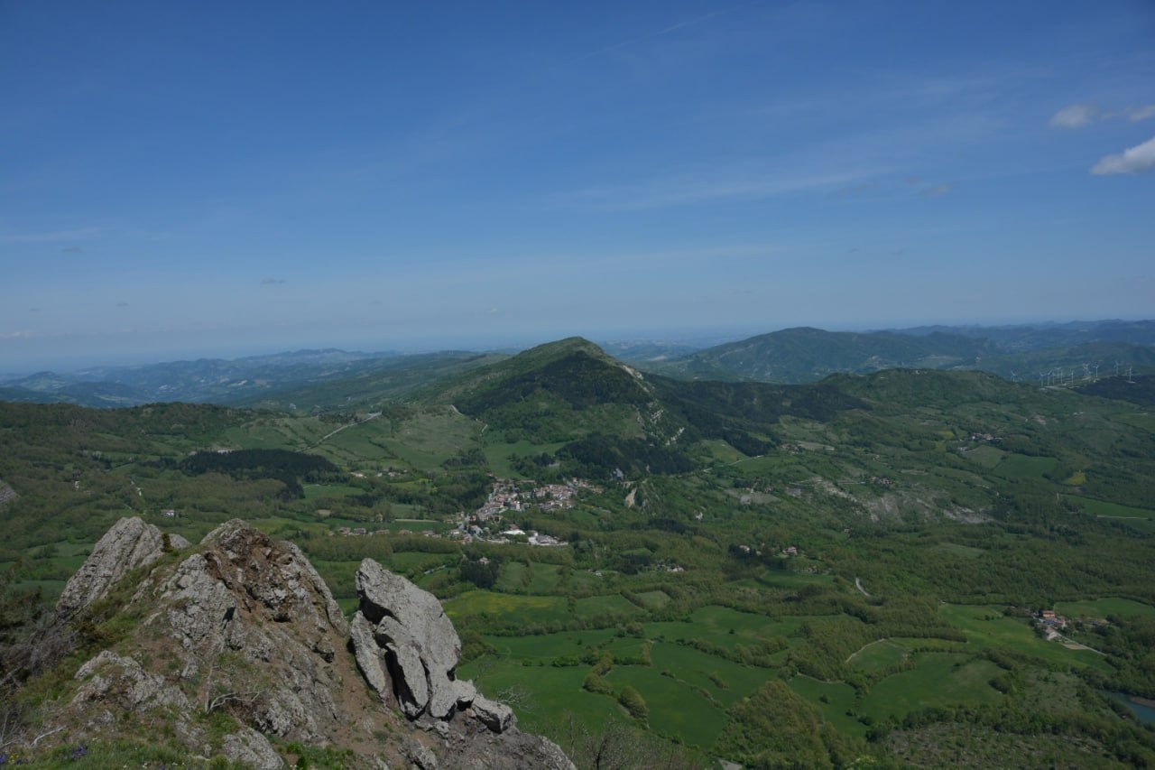 IMG-20250329-WA0005
