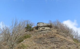 IMG-20250405-WA0004