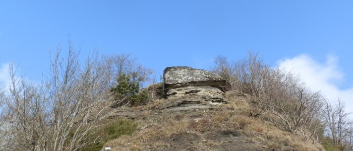 IMG-20250405-WA0004