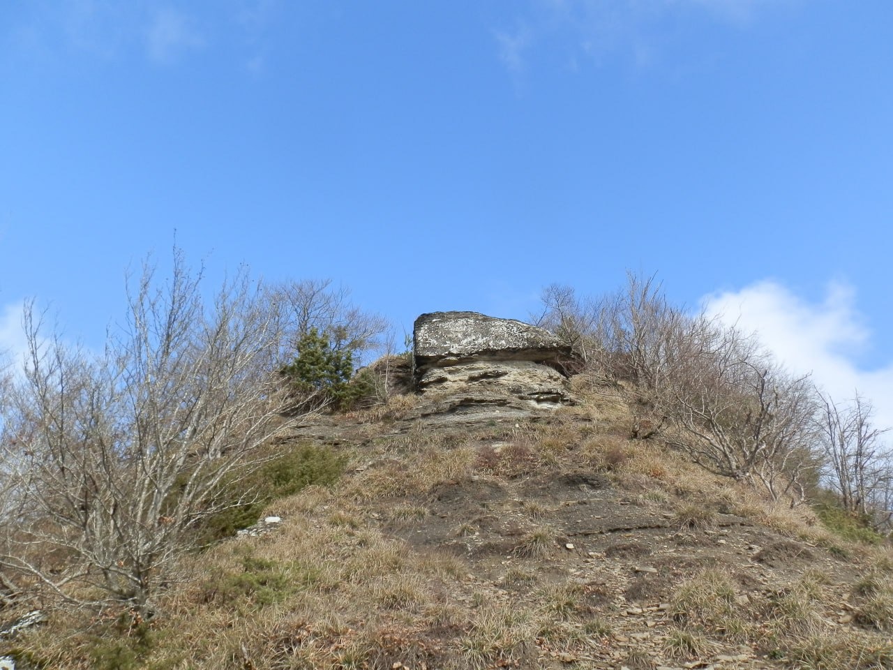 IMG-20250405-WA0004