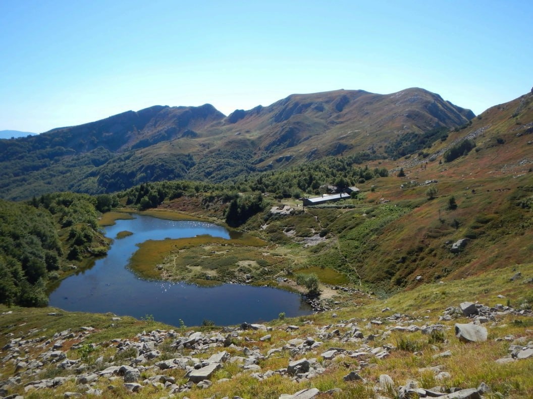 IMG-20250407-WA0014