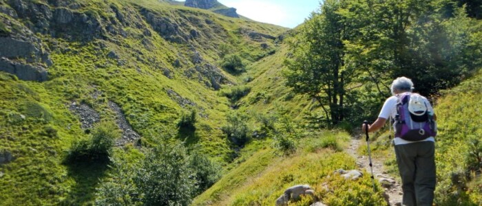 IMG-20250407-WA0015