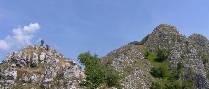 IMG-20250507-WA0005
