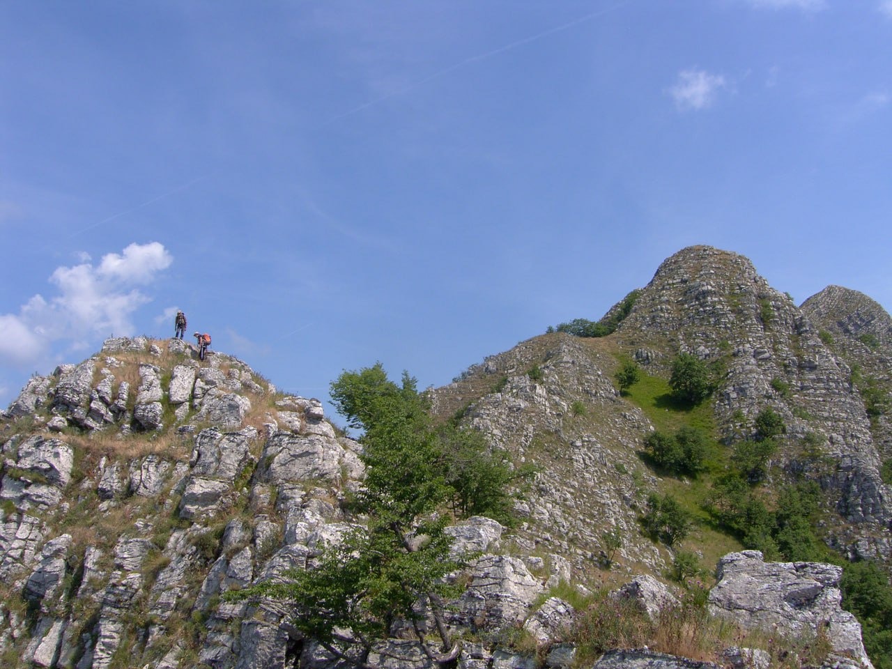 IMG-20250507-WA0005