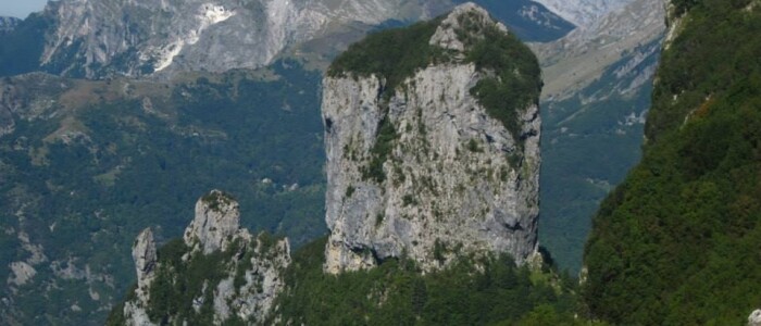 IMG-20250527-WA0016