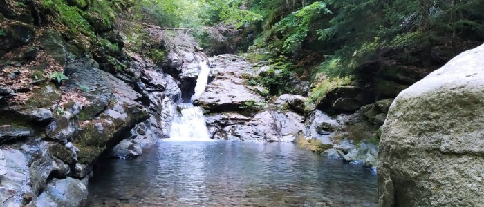 IMG-20250626-WA0007
