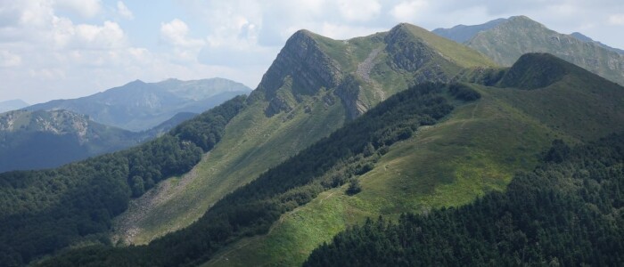 IMG-20250822-WA0014(1)