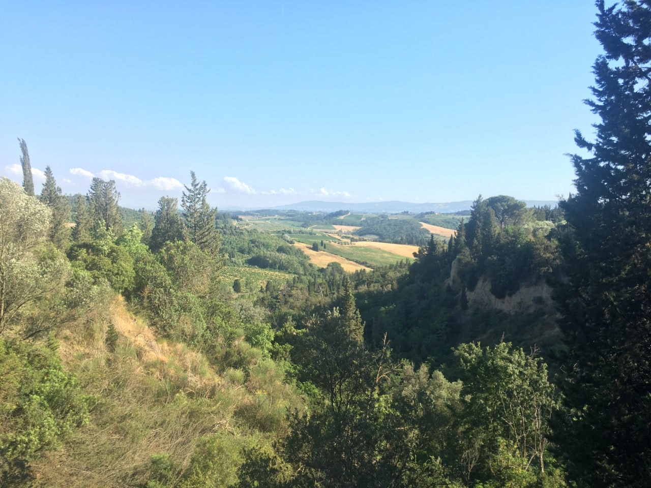 IMG-20251010-WA0010