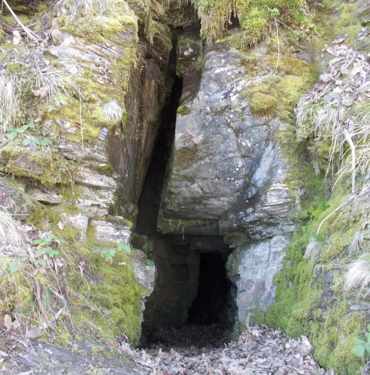 IMG-20251114-WA0008