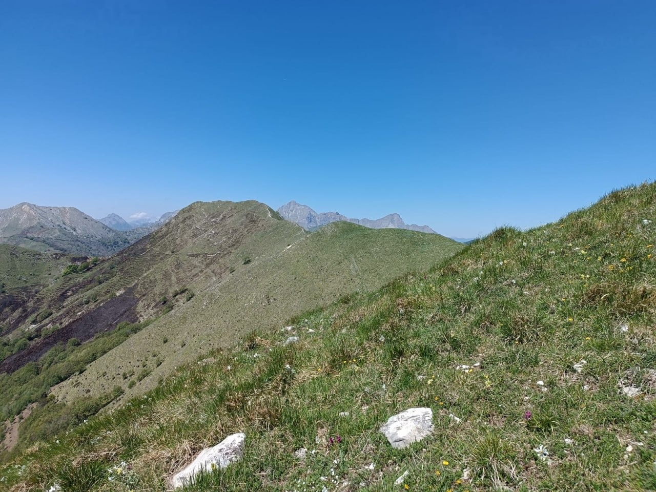 IMG-20260430-WA0026(1)