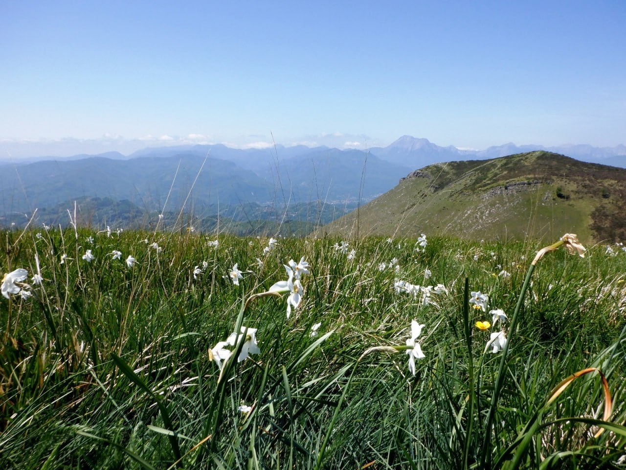 IMG-20260505-WA0039