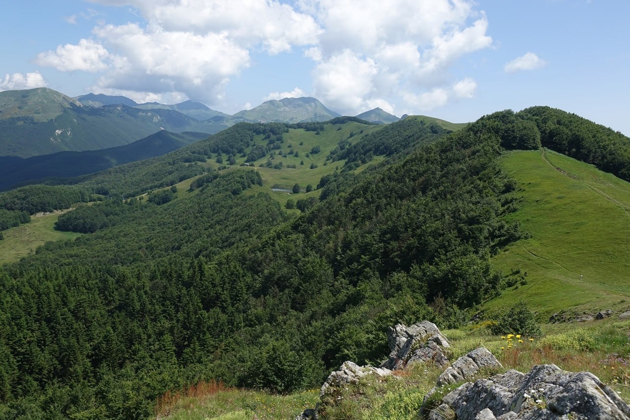 IMG-20260508-WA0014