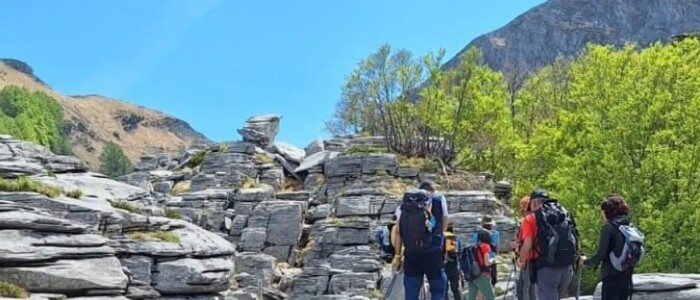 IMG-20260920-WA0006