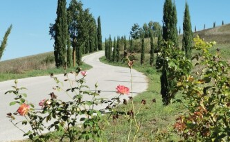 IMG-20260927-WA0014