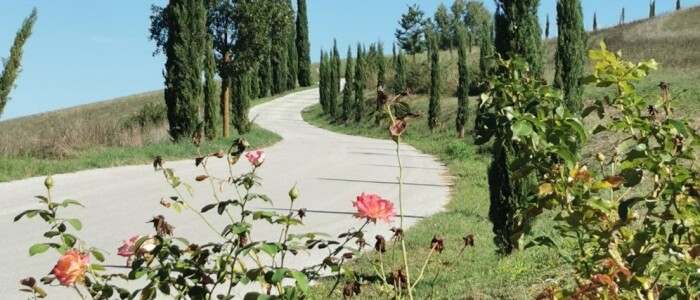 IMG-20260927-WA0014