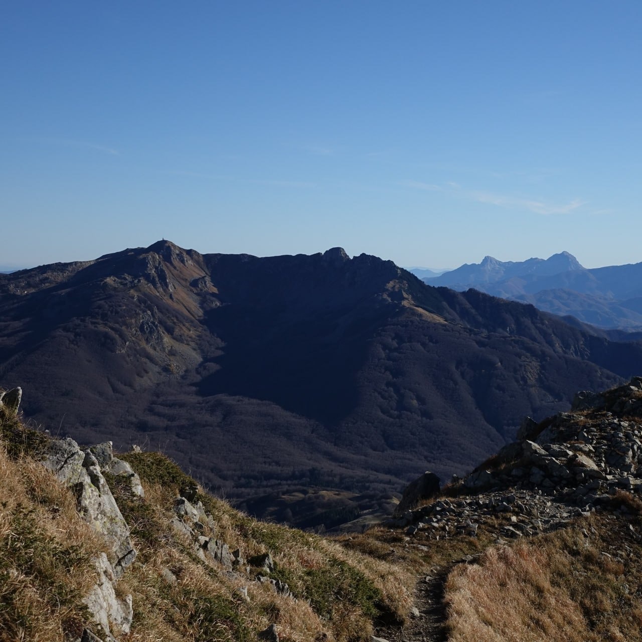 IMG-20261014-WA0010